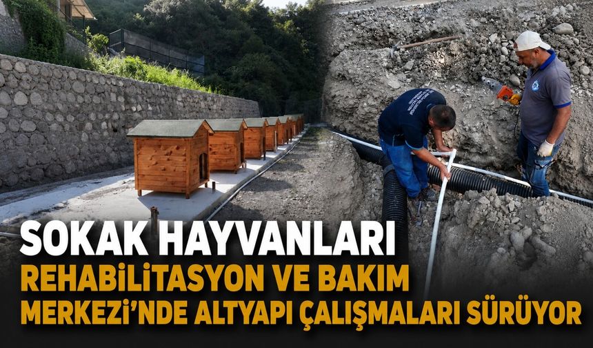 Sokak Hayvanları Rehabilitasyon ve Bakım Merkezi’nde altyapı çalışmaları sürüyor