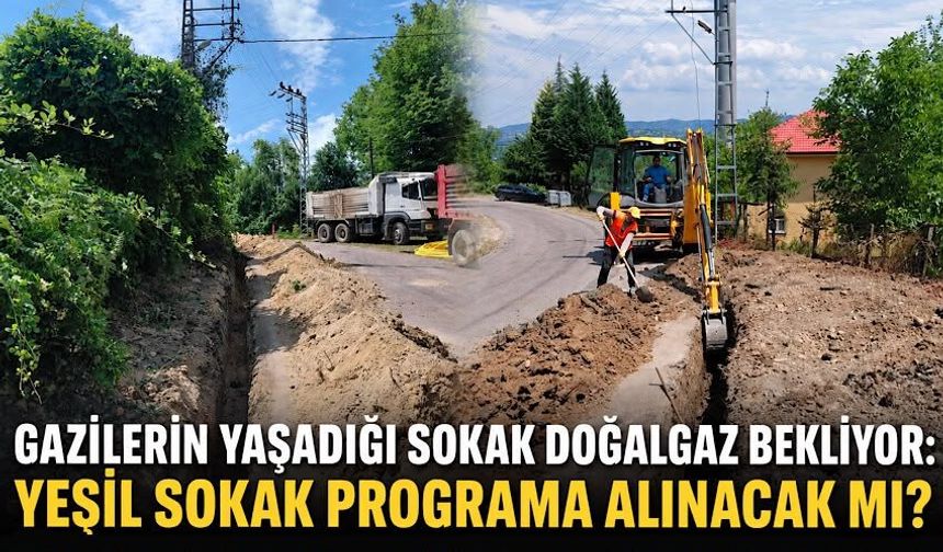 Gazilerin yaşadığı sokak doğalgaz bekliyor: Yeşil Sokak programa alınacak mı?