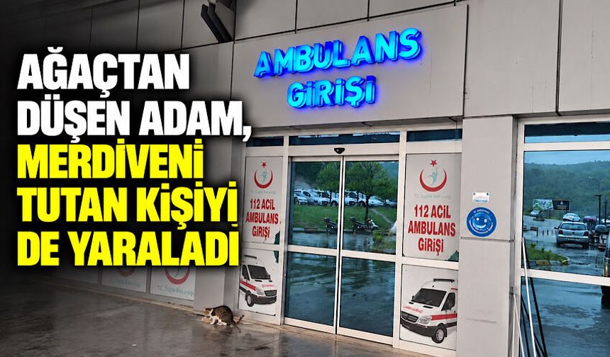 Ağaçtan düşen adam, merdiveni tutan kişiyi de yaraladı