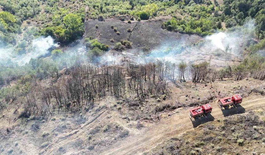 Anız yangını samanlığa sıçradı