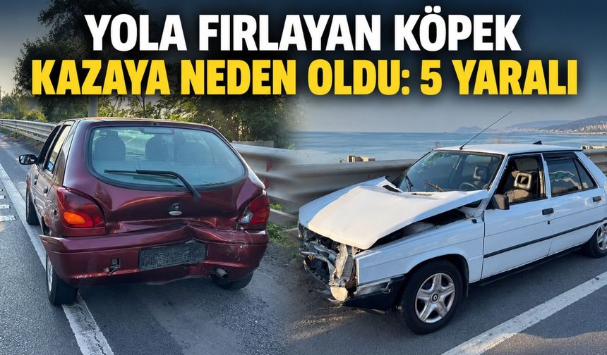 Yola fırlayan köpek kazaya neden oldu: 5 yaralı
