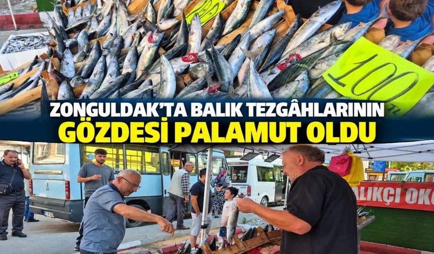 Zonguldak’ta balık tezgâhlarının gözdesi palamut oldu