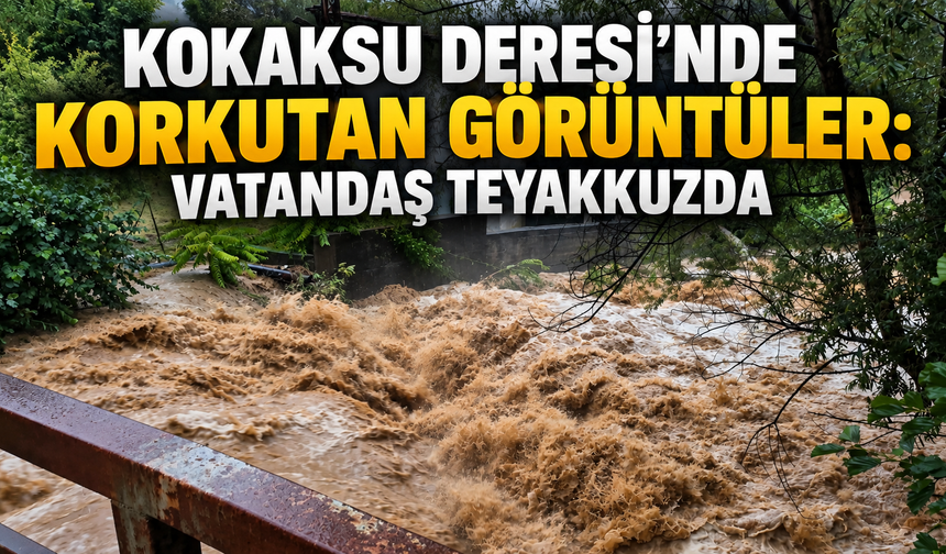 Kokaksu Deresi'nde korkutan görüntüler: Vatandaş teyakkuzda