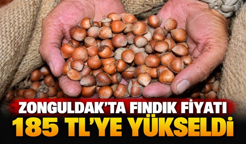 Zonguldak’ta fındık fiyatı 185 TL’ye yükseldi
