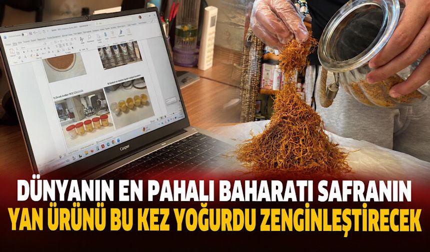 Dünyanın en pahalı baharatı safranın yan ürünü bu kez yoğurdu zenginleştirecek