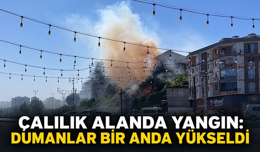 Çalılık alanda yangın: Dumanlar bir anda yükseldi