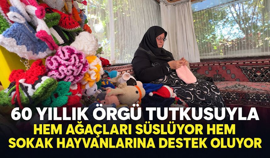 60 yıllık örgü tutkusuyla hem ağaçları süslüyor hem sokak hayvanlarına destek oluyor