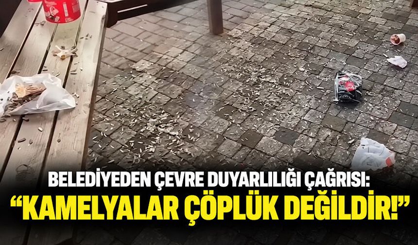 Belediyeden çevre duyarlılığı çağrısı: “Kamelyalar çöplük değildir!”