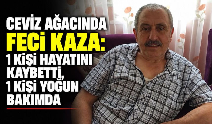 Ceviz ağacında feci kaza: 1 kişi hayatını kaybetti, 1 kişi yoğun bakımda