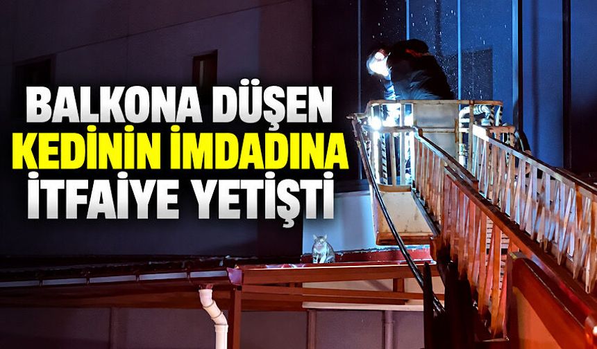 Balkona düşen kedinin imdadına itfaiye yetişti