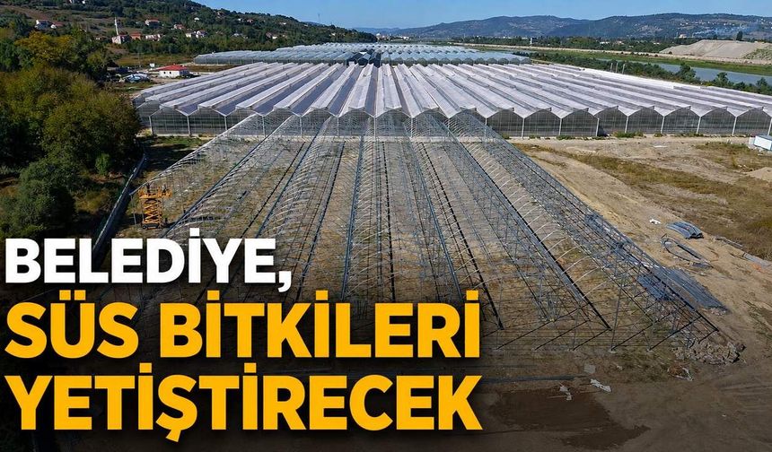 Belediye, süs bitkileri yetiştirecek