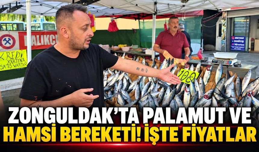 Zonguldak’ta palamut ve hamsi bereketi! İşte fiyatlar