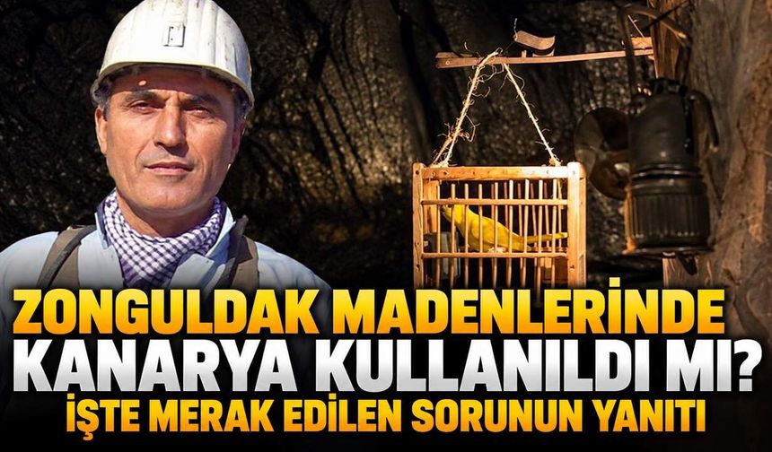 Zonguldak madenlerinde kanarya kullanıldı mı? İşte merak edilen sorunun yanıtı