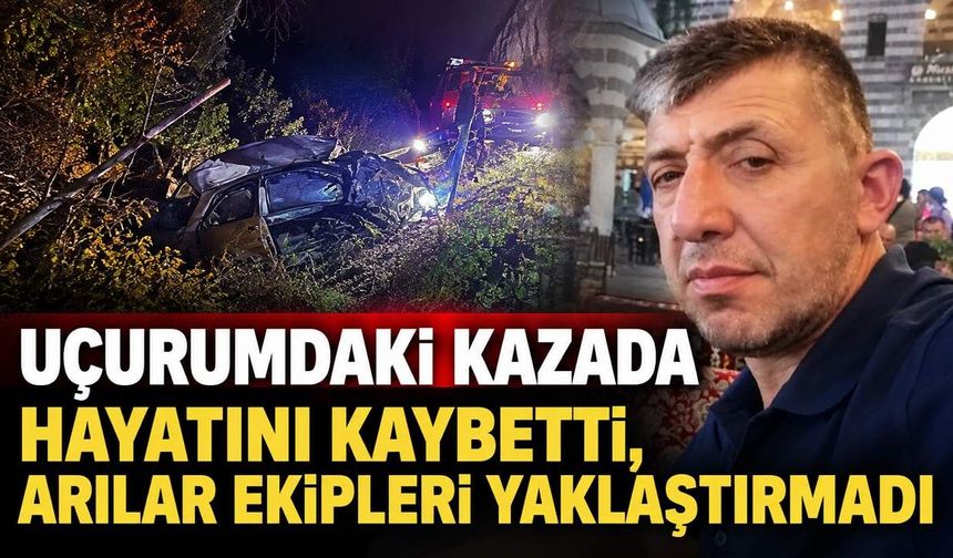Uçurumdaki kazada hayatını kaybetti, arılar ekipleri yaklaştırmadı