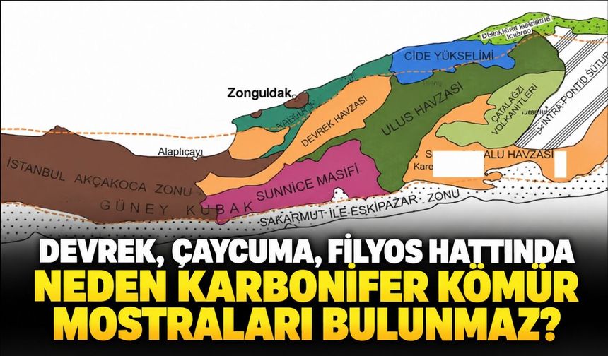 Devrek, Çaycuma, Filyos hattında neden karbonifer kömür mostraları bulunmaz?