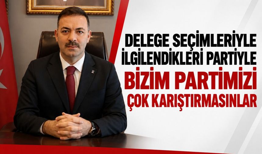 Delege seçimleriyle ilgilendikleri partiyle bizim partimizi çok karıştırmasınlar