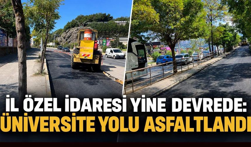 İl Özel İdaresi yine devrede: Üniversite yolu asfaltlandı