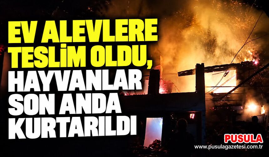 Ev alevlere teslim oldu, hayvanlar son anda kurtarıldı