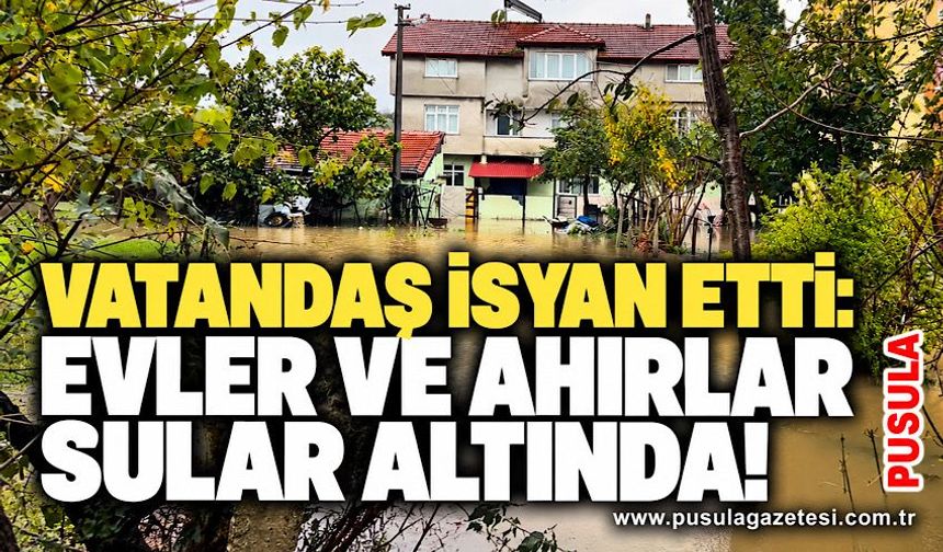 Vatandaş isyan etti: Evler ve ahırlar sular altında!