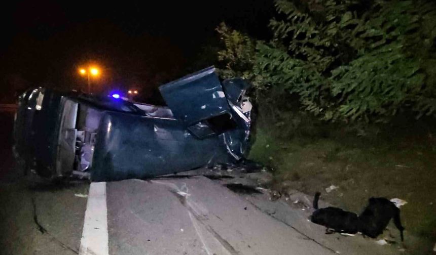 Aracıyla takla atıp sağ çıktı, hasara bakmak isterken canından oldu