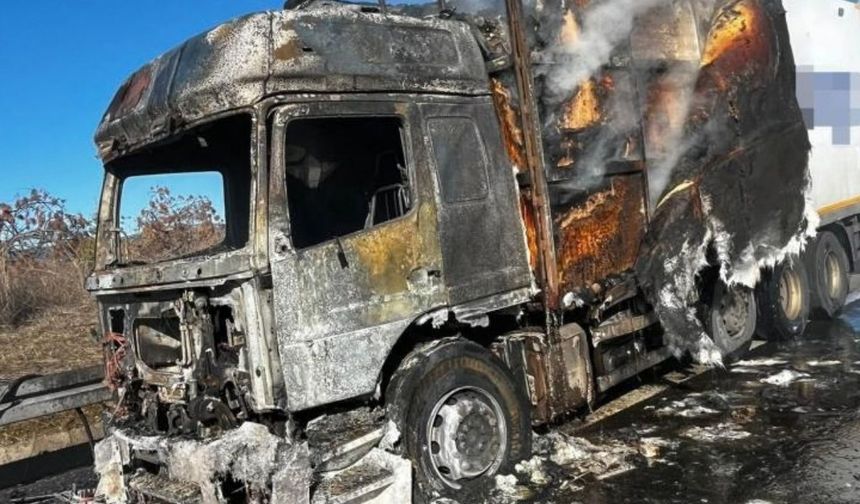 Kargo yüklü tır alev alev yandı