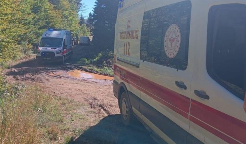 Mantar toplamaya giden ailenin traktörü devrildi: Dede hayatını kaybetti, torunu yaralandı