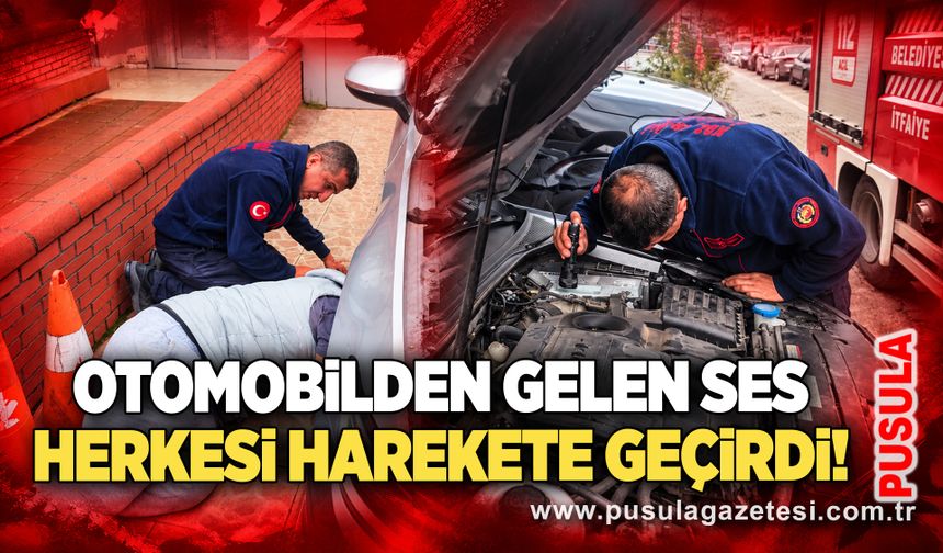 Otomobilden gelen ses herkesi harekete geçirdi!