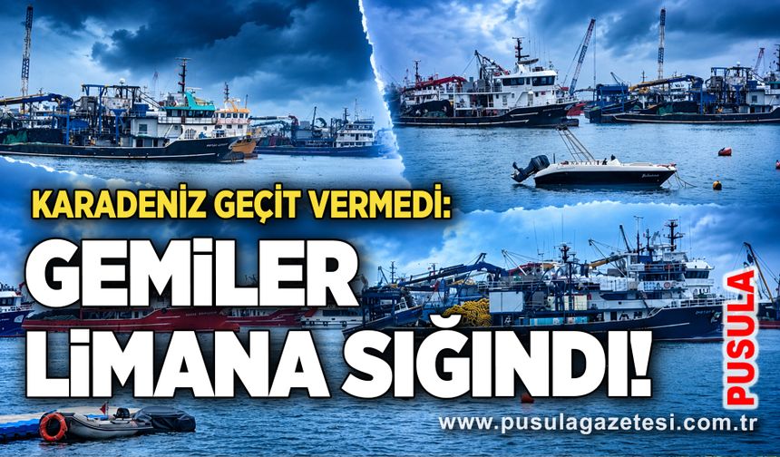 Karadeniz geçit vermedi: Gemiler limana sığındı!