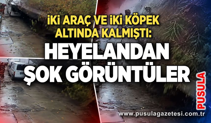 İki araç ve iki köpek altında kalmıştı: Heyelandan şok görüntüler