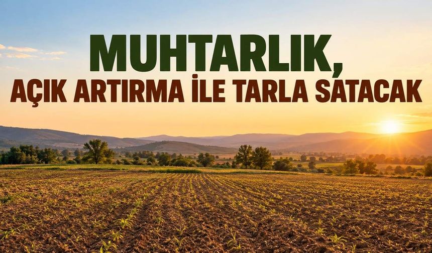 Muhtarlık, açık artırma ile tarla satacak