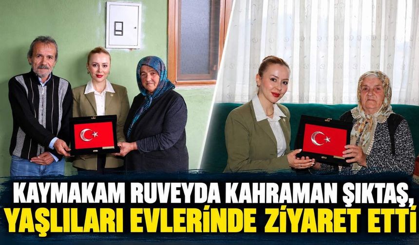 Kaymakam Ruveyda Kahraman Şıktaş, yaşlıları  evlerinde ziyaret etti