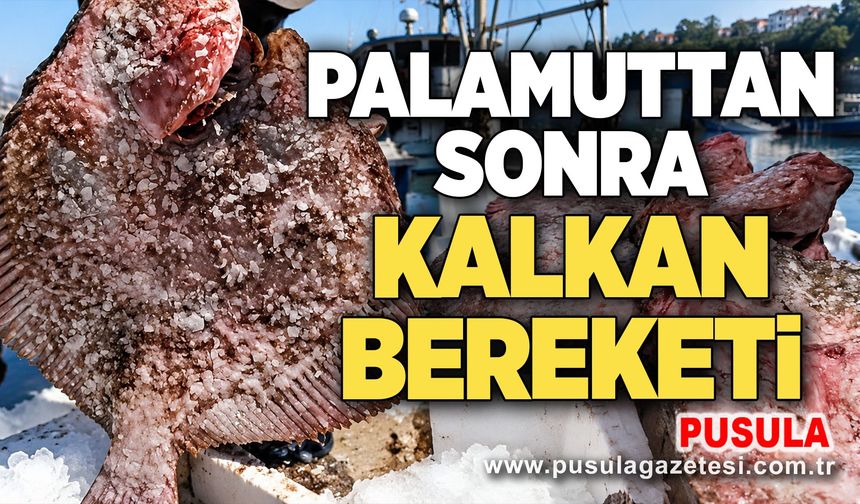 Palamuttan sonra kalkan bereketi