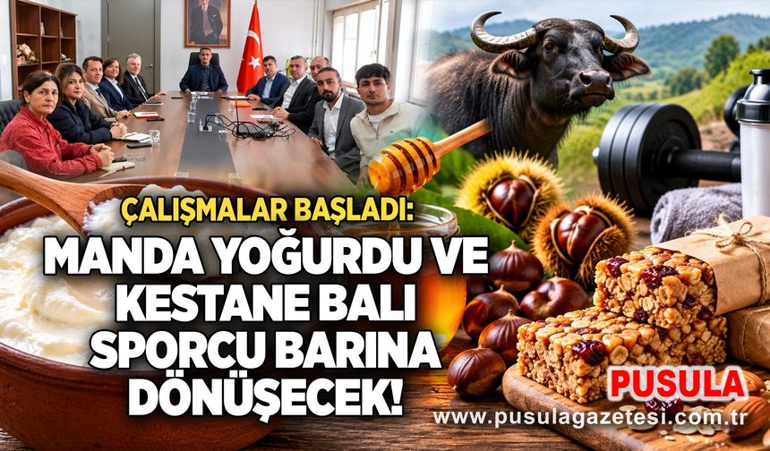 Çalışmalar başladı: Manda yoğurdu ve kestane balı sporcu barına dönüşecek!