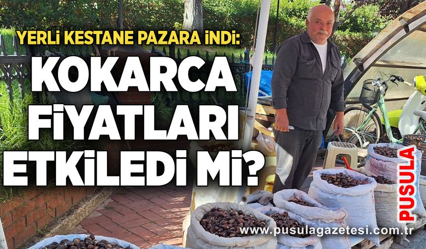 Yerli kestane pazara indi: Kokarca fiyatları etkiledi mi?