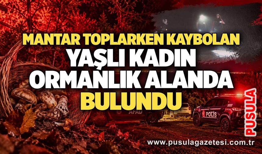 Mantar toplarken kaybolan yaşlı kadın ormanlık alanda bulundu