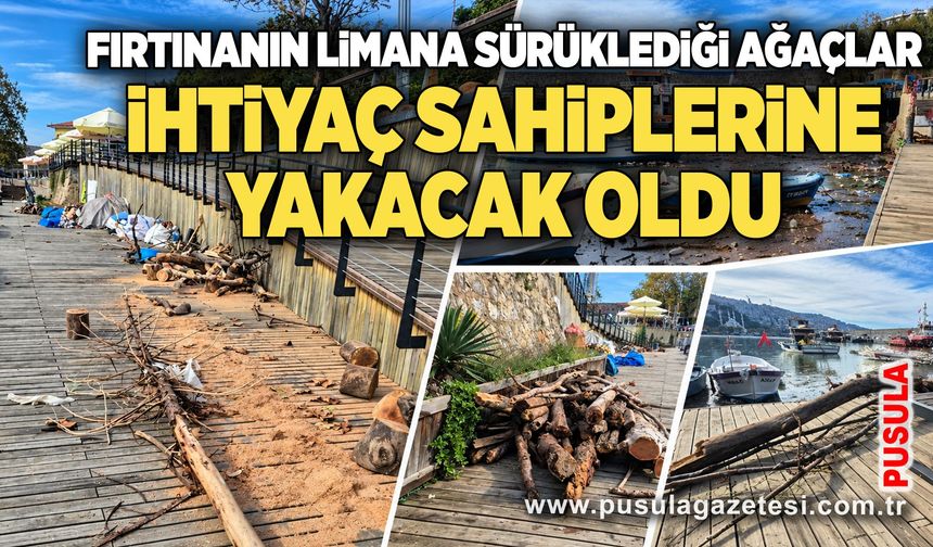 Fırtınanın limana sürüklediği ağaçlar ihtiyaç sahiplerine yakacak oldu