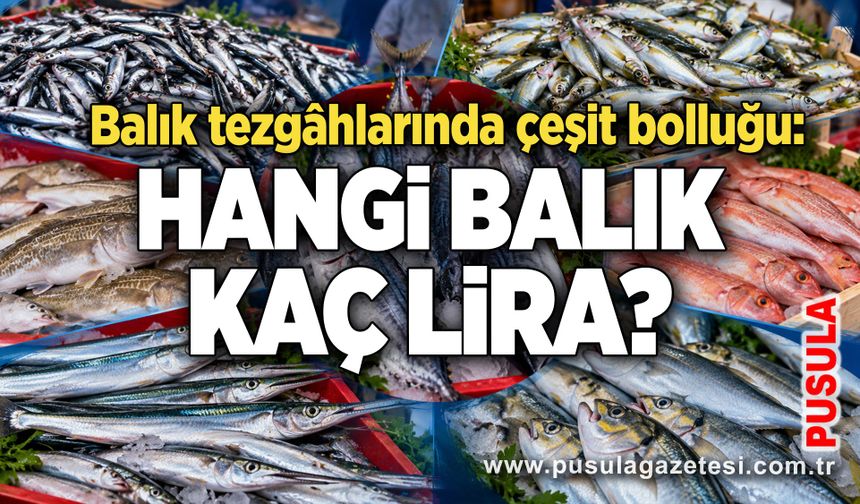 Balık tezgâhlarında çeşit bolluğu: Hangi balık kaç lira?