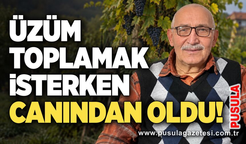 Üzüm toplamak isterken canından oldu!