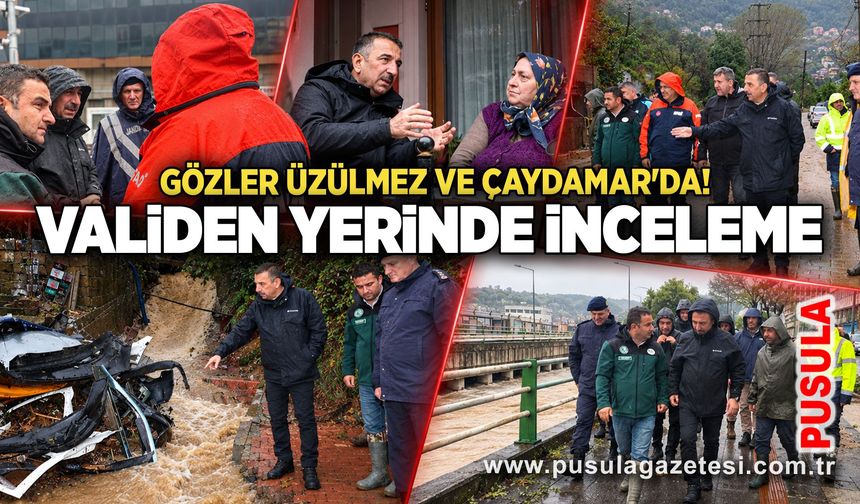 Gözler Üzülmez ve Çaydamar'da! Validen yerinde inceleme
