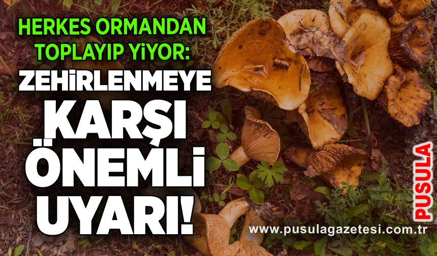 Herkes ormandan toplayıp yiyor: Zehirlenmeyle karşı önemli uyarı!