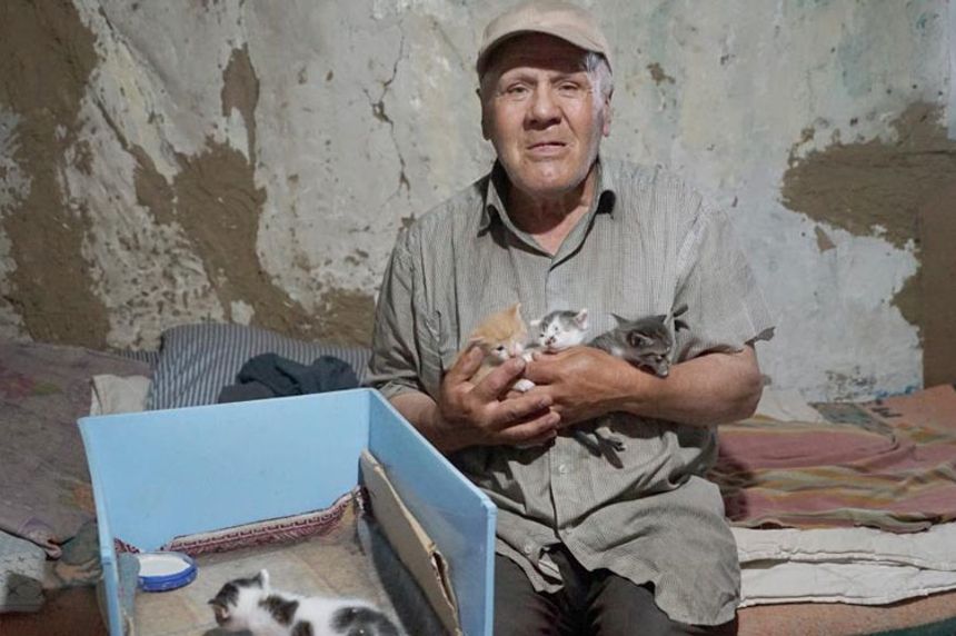 Evinde baygın halde bulundu, beslediği 36 kedisi sahipsiz kaldı