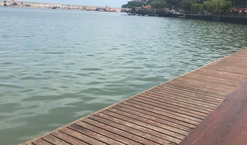 zonguldak-limn-1