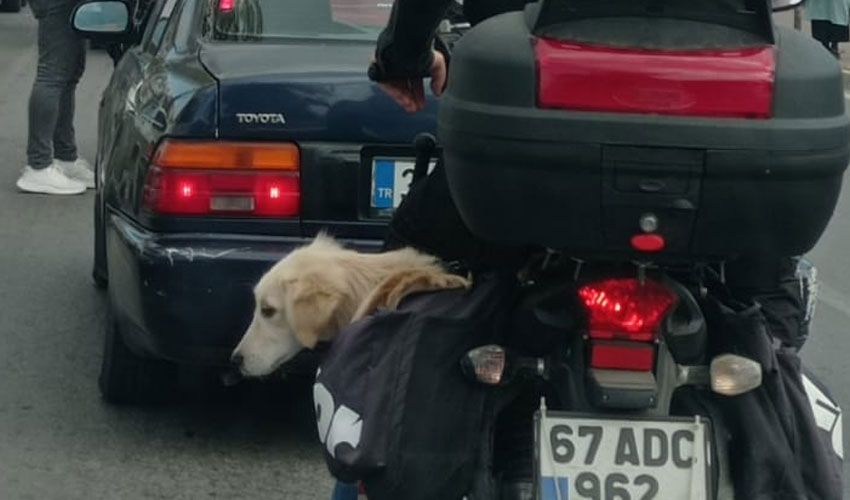 görenler-şaşırdı-2