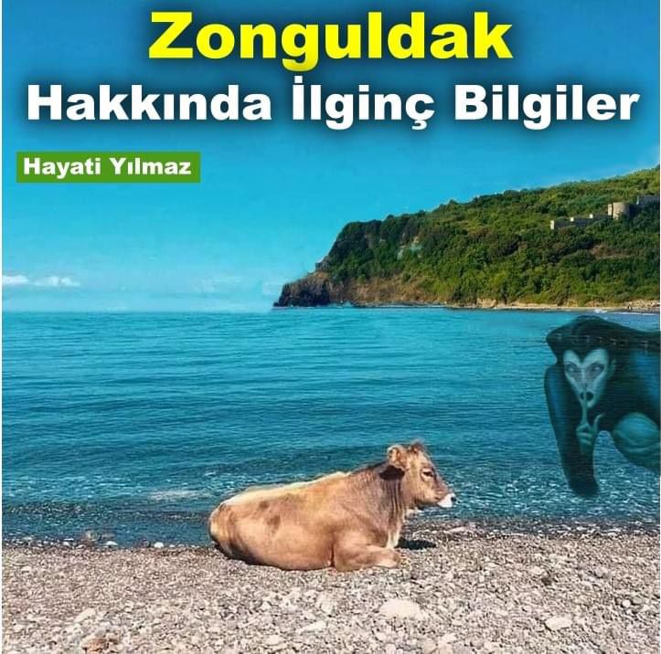 Fa09Ca26 F05B 45B2 B1F5 15F587Ed6D52