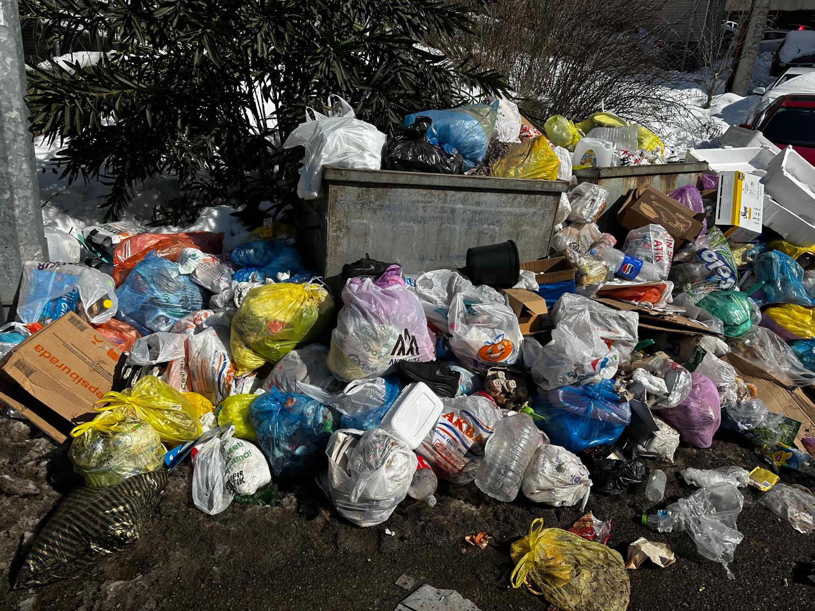 Anıl Sit3