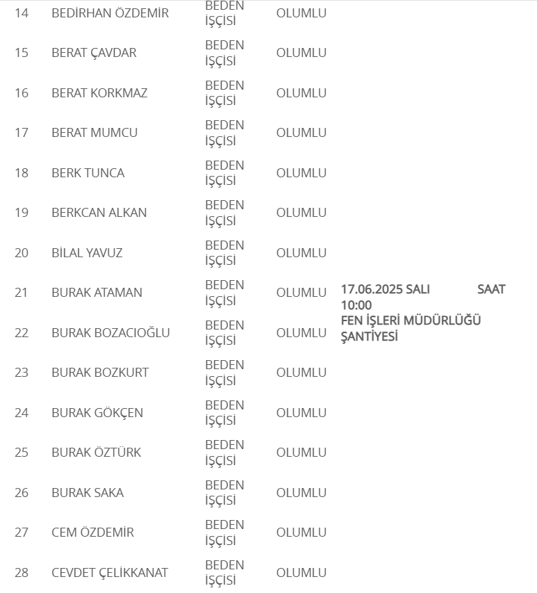 Ekran Görüntüsü 2025 06 16 130338