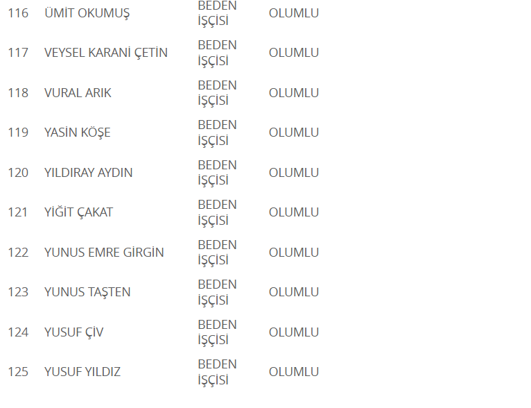 Ekran Görüntüsü 2025 06 16 130546