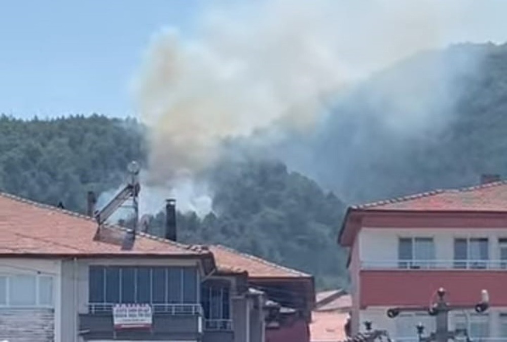 Devrek Yangın-3