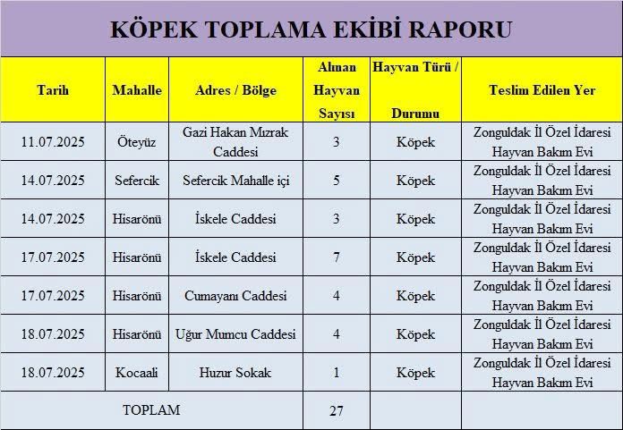 Köpek-2