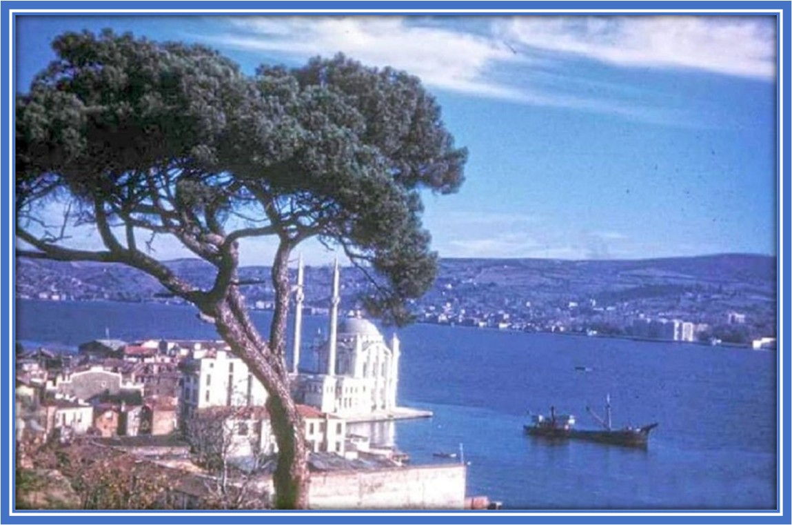 Pınar2